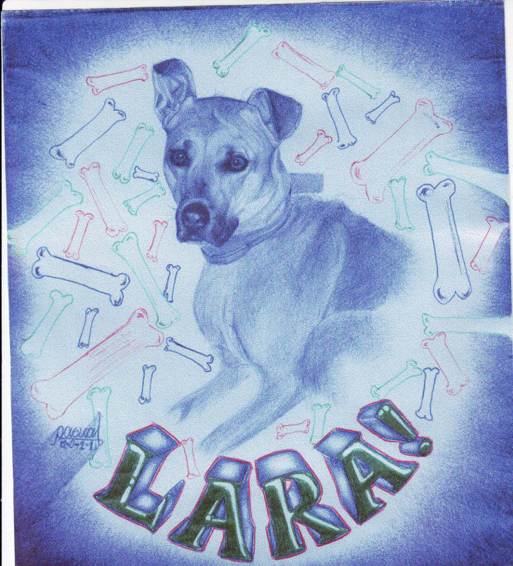 Lara, Dog Portait by pen, Illustration