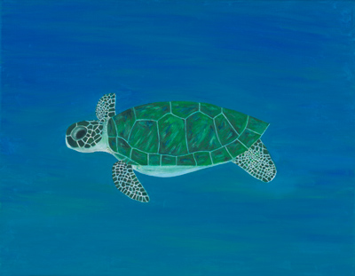 Caretta caretta, Painting