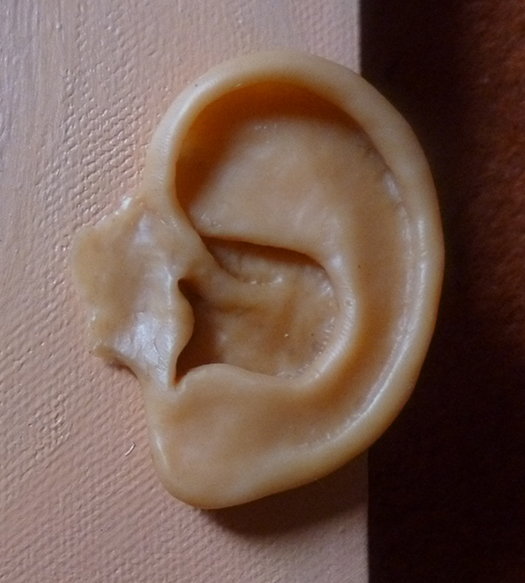 Ear, Sculpture